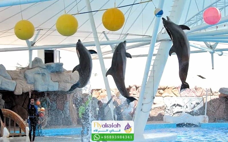 Kish Island